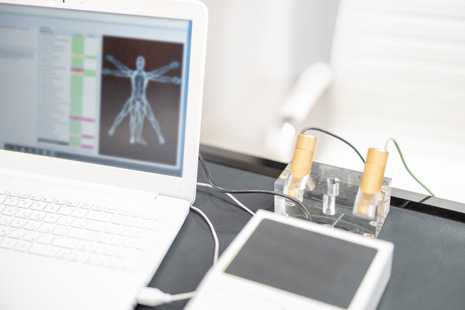 Bioresonance Brno – diagnostika a terapie těla bioresonance Brno diagnostika těla energetická terapie wellness procedura